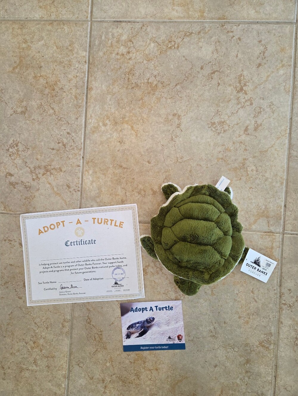 Turtle Realistic Tracking Lot